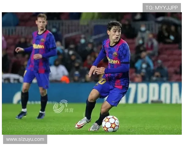 怎样看西甲联赛直播：西甲联赛的观看途径与平台推荐